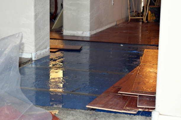 Professional Basement Flood Cleanup technician working in Yorkville, TN